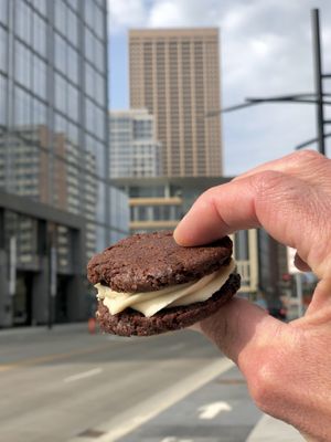 Walk through the city, eat more cookies!  at Hark! Cafe in Plymouth