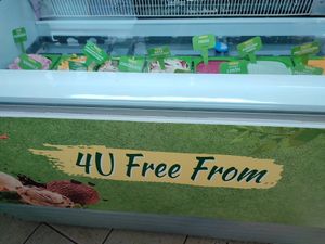 Variedad de helados veganos. at Serendipity in Valencia