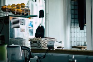 A view inside the shop at Only Green in Bristol