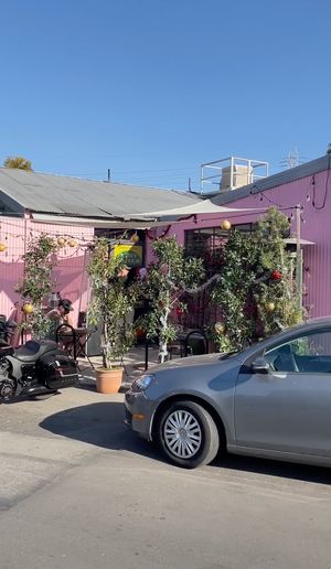  at Just What I Kneaded in Los Angeles