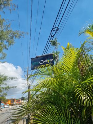  at Vegan Cottage in Bridgetown