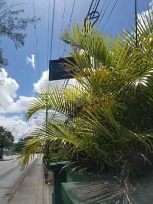 Sign from the road at Vegan Cottage in Bridgetown