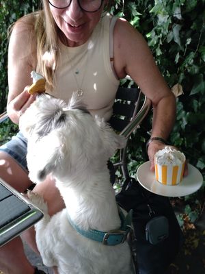  at Green Island Bistro in Rhuddlan