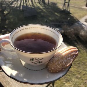 Earl Grey and a Madeleine  at Tea Room Kullaberg - Pop Up in Hoeganaes