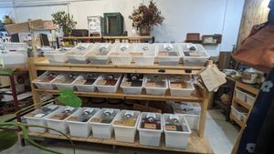 Bulk foods area at GROW in Anglesea