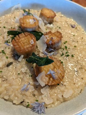  at Astoria Bistro Botanique in Gatineau