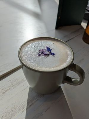  at Astoria Bistro Botanique in Gatineau