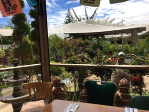 Leafy nursery backdrop  at Sarah's Sisters in Semaphore