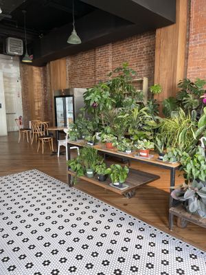 Plants and seating area   at Le Petit Monstre in Brooklyn