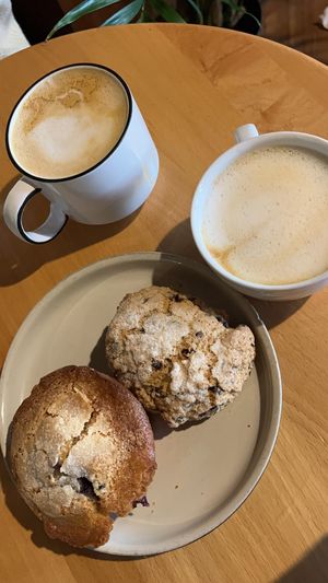 blueberry muffin and cranberry chocolate orange scone   at Le Petit Monstre in Brooklyn