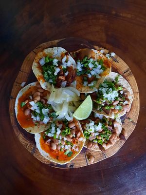 Tacos  at Tapatia Vegan Tacos in Tulum