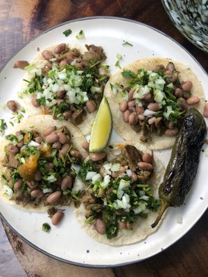 Buche Tacos with beans and oister mushrooms at Tapatia Vegan Tacos in Tulum