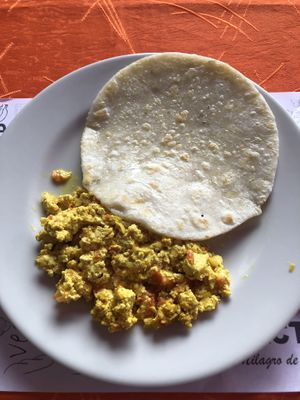   at Fractales in Bogota