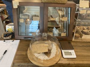   at LouLou Vegan in Jeju