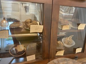   at LouLou Vegan in Jeju