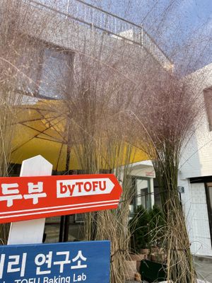Outside  at ByTOFU in Seoul