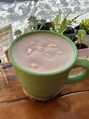 Hot chocolate with marshmallows   at Thyme Cafe and Bookstore in Winnipeg
