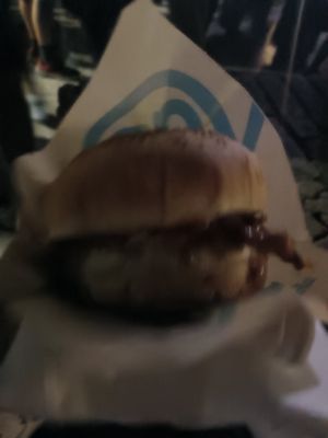 Bibicu at Van Ver Burger in Turin