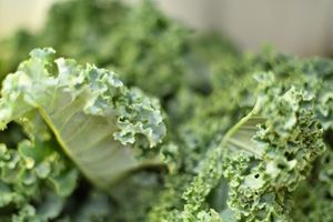 Curly green kale — always organic at George Street Co-op & Cafe in New Brunswick