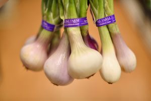 Spring shallots — always organic at George Street Co-op & Cafe in New Brunswick