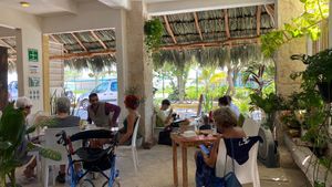 Cafe Layla at Layla Restaurant Plants & Mushrooms in Puerto Morelos