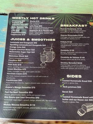 Juices, smoothies and breakfast menu   at Layla Restaurant Plants & Mushrooms in Puerto Morelos