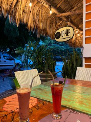  at Layla Restaurant Plants & Mushrooms in Puerto Morelos