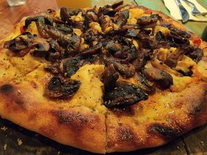 Fungus Among Us at Layla Restaurant Plants & Mushrooms in Puerto Morelos