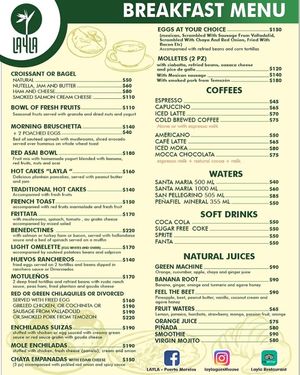 they don't even have any vegan options at Layla Restaurant Plants & Mushrooms in Puerto Morelos