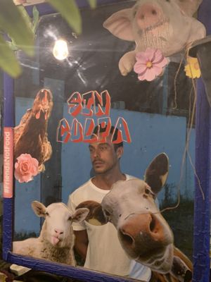 Without guilt, or brainwashing! 😀  at Perro No Come Perro in Tulum