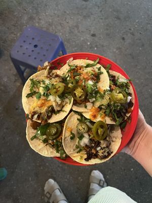   at Perro No Come Perro in Tulum