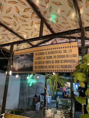   at Perro No Come Perro in Tulum