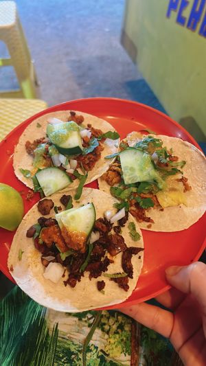 vegan tacos mixed  at Perro No Come Perro in Tulum