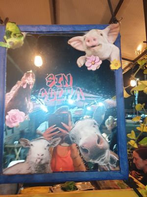  at Perro No Come Perro in Tulum