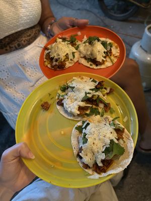   at Perro No Come Perro in Tulum