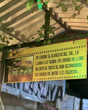   at Perro No Come Perro in Tulum