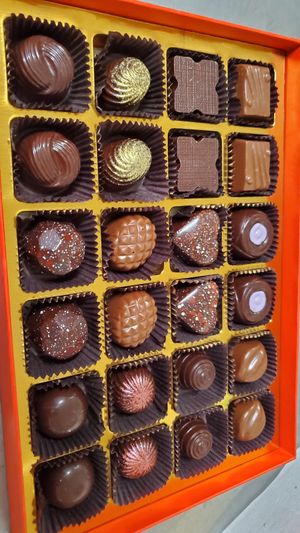 the box of 24 two each vegan flavor at Chocolat Moderne in New York City