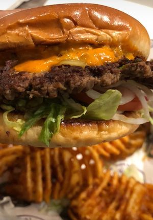 HAV burger at Houstatlantavegan in Houston