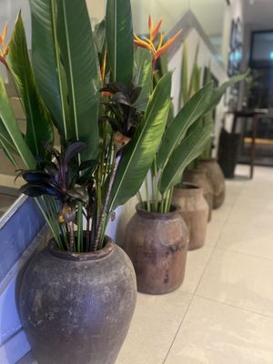 Beautifully styled hotel and dinning area  at The Raw Kitchen Malaysia in Kuching