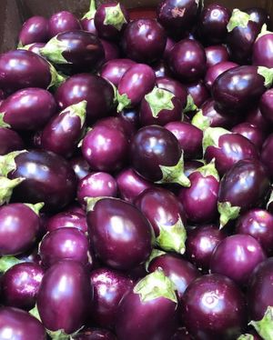 Fresh Indian Eggplant at Lotus Market in San Rafael