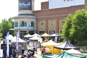 Vegan Fiesta Basingstoke Stall at Vegan Fiesta in Basingstoke