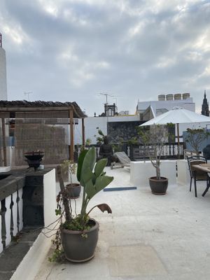 Rooftop terrace  at Casa Vegana Arucas in Gran Canaria