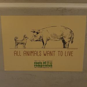  at Radikalecker in Berlin