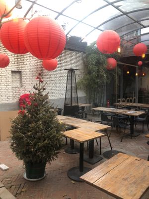 Cafe garden-daytime at Cafe Zarah in Beijing