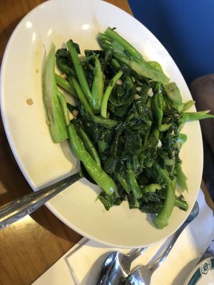 Chinese broccoli 唐芥蘭 with white sauce   at Veggie Heaven in Teaneck
