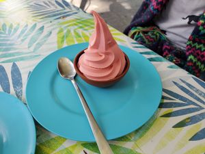 #Veganuary at Veggie Koi Sushi in Mexico City