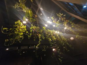  at The Black Box Provisions & Restaurant Naga in Kuta