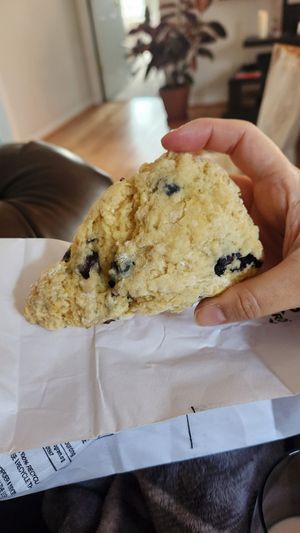 Blueberry Scone at Hollycake House in East Rochester