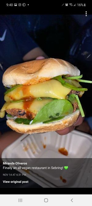 Double stack  at Green Leaf Vegan Kitchen in Roanoke