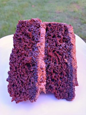 Double chocolate cake at Green Leaf Vegan Kitchen in Roanoke